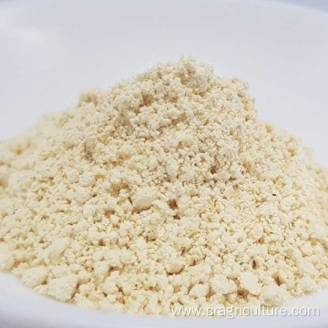 First Grade Dehydrated Vegetables Garlic Powder